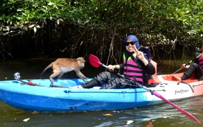 Work-Life attitudes of Gen Y