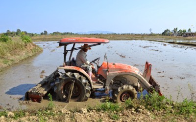 Age Discrimination and the Older Worker