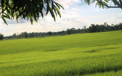 Breathing, a basic but essential need.